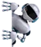 AI Technology Densdigi